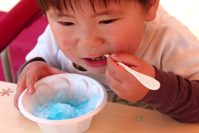 雪峰祭2014-春-