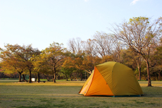 DUNLOP(ダンロップ)ダルセットR-812 キャンピング用テントの試し張り〜(*^^*)