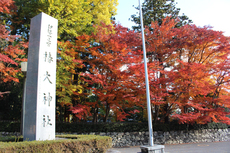 晩秋の入道ヶ岳