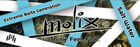 Molix SWプロジェクト発動♪♪