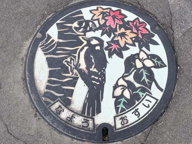 Collect　Covers　　名寄市