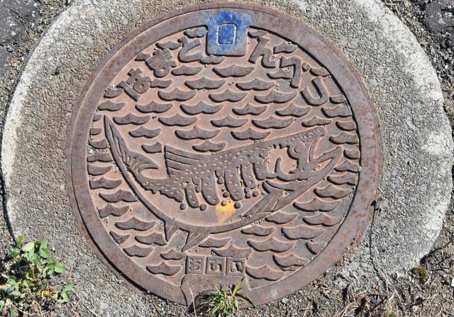 Collect　Covers　　浜頓別町