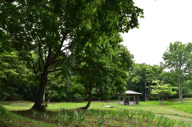 厚田公園キャンプ場