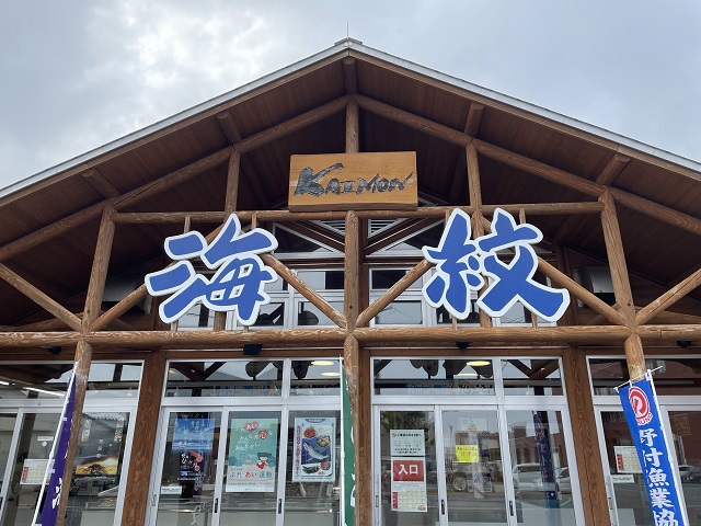 道東旅行　バンガロー泊