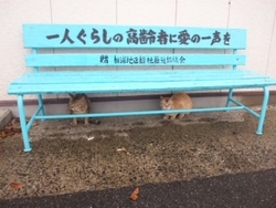 エギング♪・・・・・