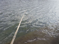 雑魚釣り
