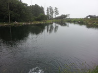大崎つりぼり釣行!!2011/08/02 2011/08/13 23:18:16