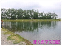 テスト。 2012/09/03 13:22:00