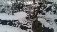 雪です… 2011/01/30 12:51:26