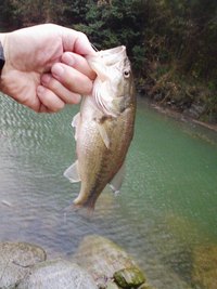 荒れ模様