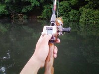ｵﾝﾘｰｻｰﾌｪｰｽ