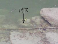 秋味