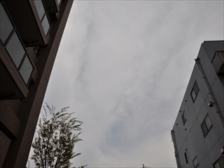 第3回キャンプ13.11.03～13.11.04 千葉しあわせの丘