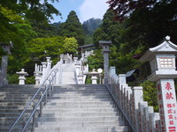 丹沢大山ピークスルートレラン