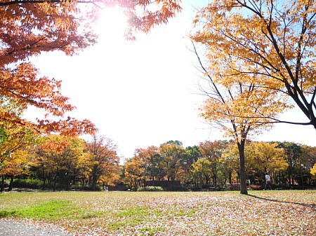 神宮東公園-2年目
