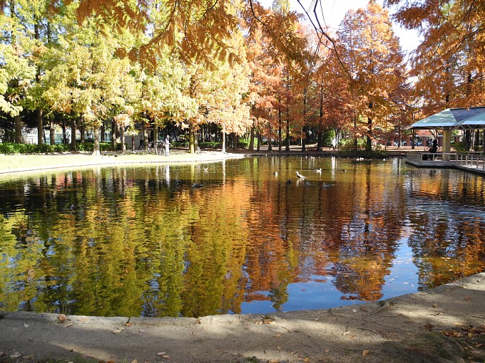 神宮東公園-2年目