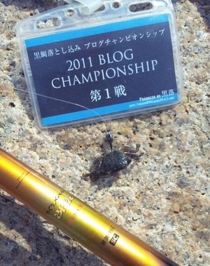 07th result ： 参戦！BCS！