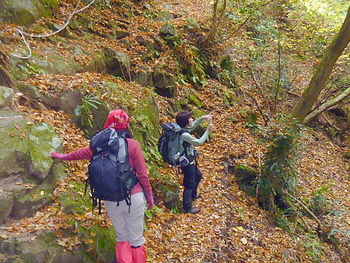 金剛山、ツツジオ谷、東條山から村界尾根