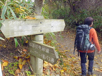 金剛山、ツツジオ谷、東條山から村界尾根