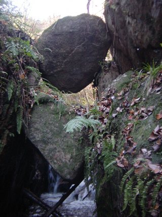 冬の沢登り（和束川）