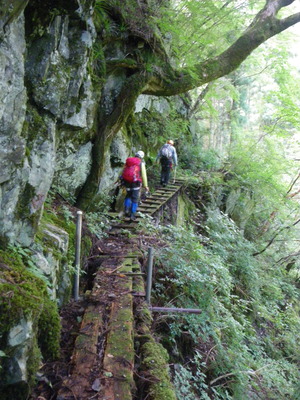 大峰・山葵谷から小普賢のコル、日本岳