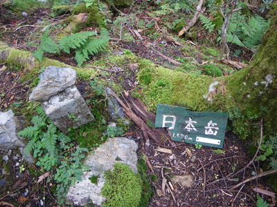 大峰・山葵谷から小普賢のコル、日本岳