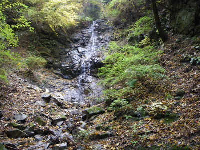 金剛山、ツツジオ谷、東條山から村界尾根