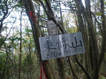 金剛山、ツツジオ谷、東條山から村界尾根