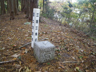 金剛山、ツツジオ谷、東條山から村界尾根