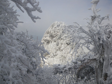 雪の稲村ヶ岳