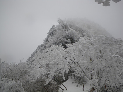 雪の稲村ヶ岳