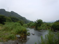 備忘録―８月のハ菅河原野営。 2010/08/31 17:30:36