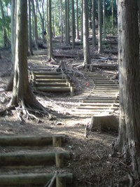 ハイキング！七沢・日向山