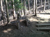 ハイキング！七沢・日向山