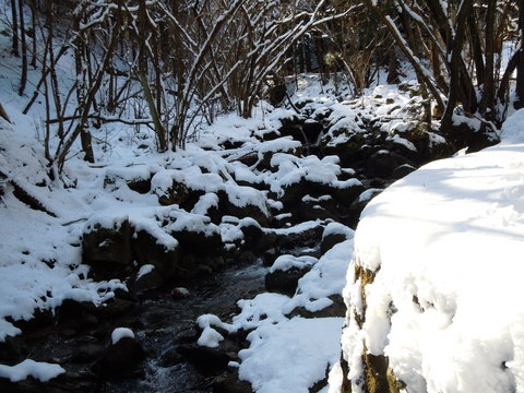 トンネルを抜けるとそこは･･･