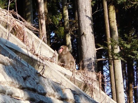トンネルを抜けるとそこは･･･