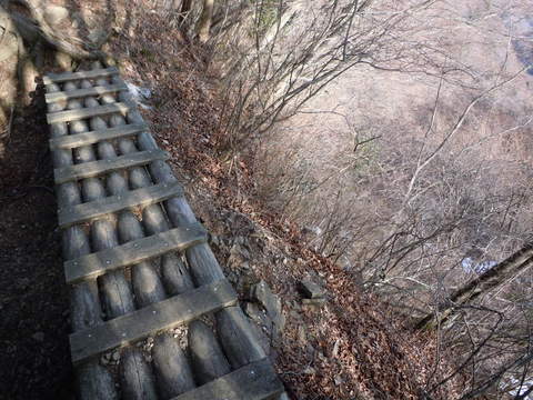 大山三峰山ハイキング備忘録。