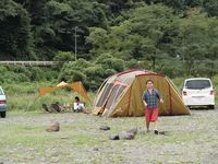 代理報告。 2010/09/26 18:35:09
