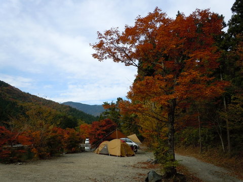 紅葉の 『森』 でソロる。