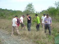 出現！　中津川ミステリーサークル。 2010/05/13 14:00:04