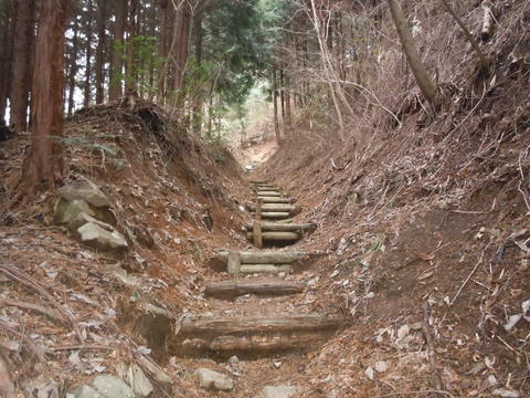 高畑山ハイキング。