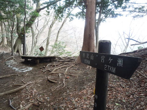 高畑山ハイキング。