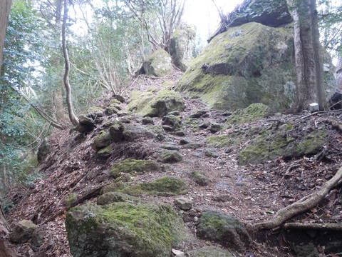 高畑山ハイキング。