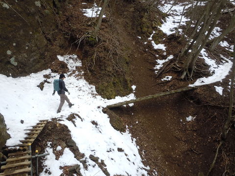 高畑山ハイキング。