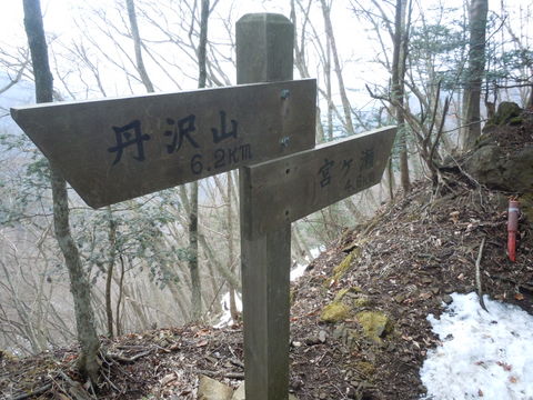 高畑山ハイキング。