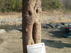 デイ青野原　リターンズ！　設営完了・・・