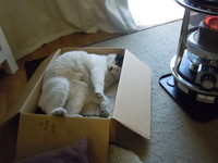 新年ブログ始め。 2011/01/16 14:02:51