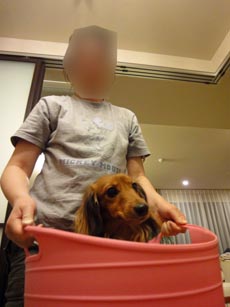 意地悪ホー君
