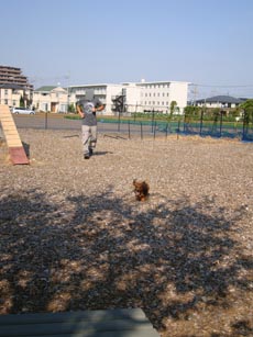 お友達と