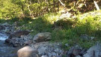 2011 0716-18 皇海山　庚申山　2日目 2011/07/23 14:45:54